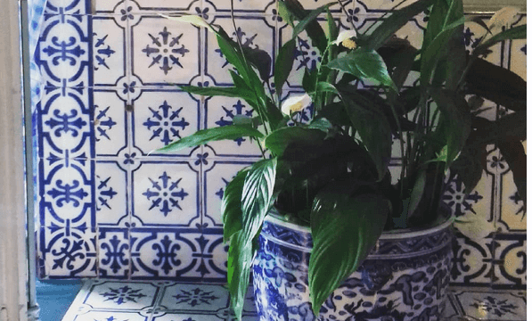 Les faïences murales de la maison de Monet à Giverny sont utilisées en plan de travail plan de travail en carrelage cuisine Monet Giverny