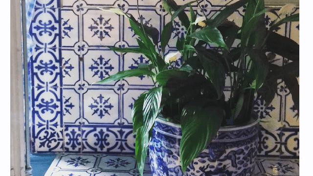 Les faïences murales de la maison de Monet à Giverny sont utilisées en plan de travail plan de travail en carrelage cuisine Monet Giverny